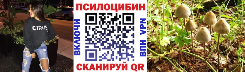 Галлюциногенные грибы прущие грибы  Ленинск-Кузнецкий 